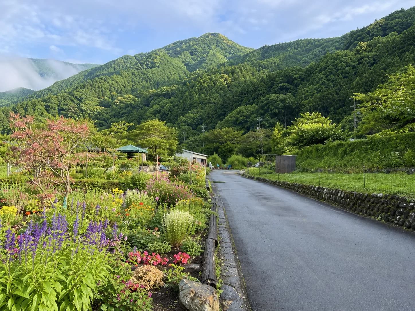 道の駅 両神温泉薬師の湯 3