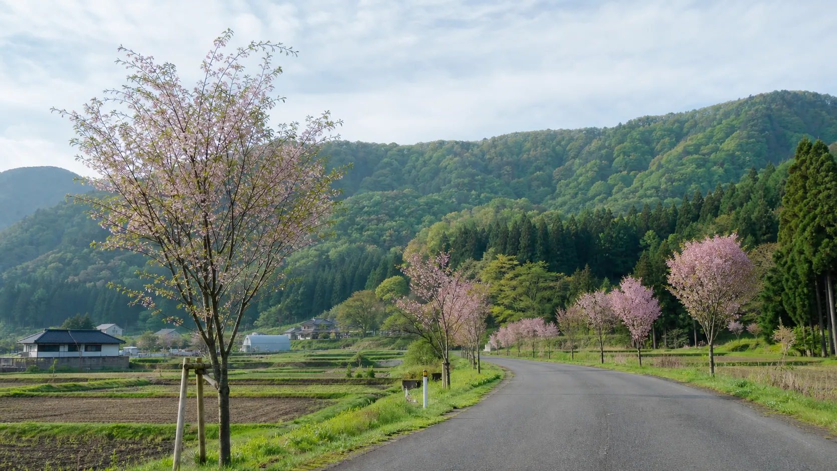 飯舘村の花と里山ドライブを表す写真調イメージ