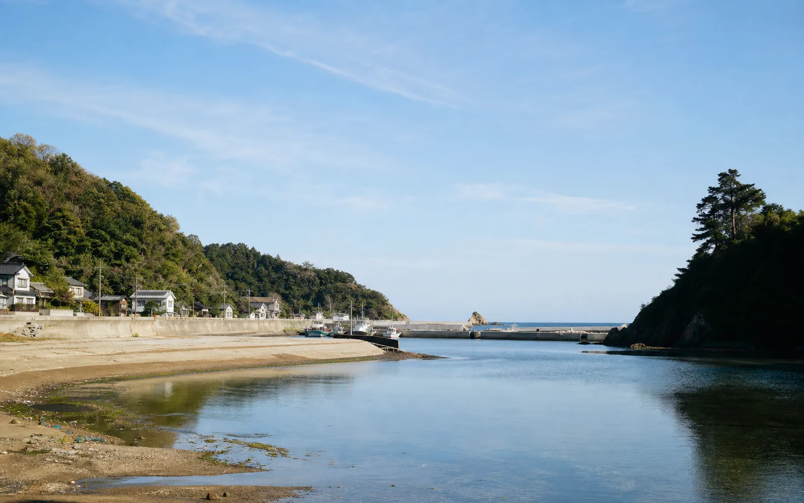 夏の請戸海岸方面をイメージした写真調素材