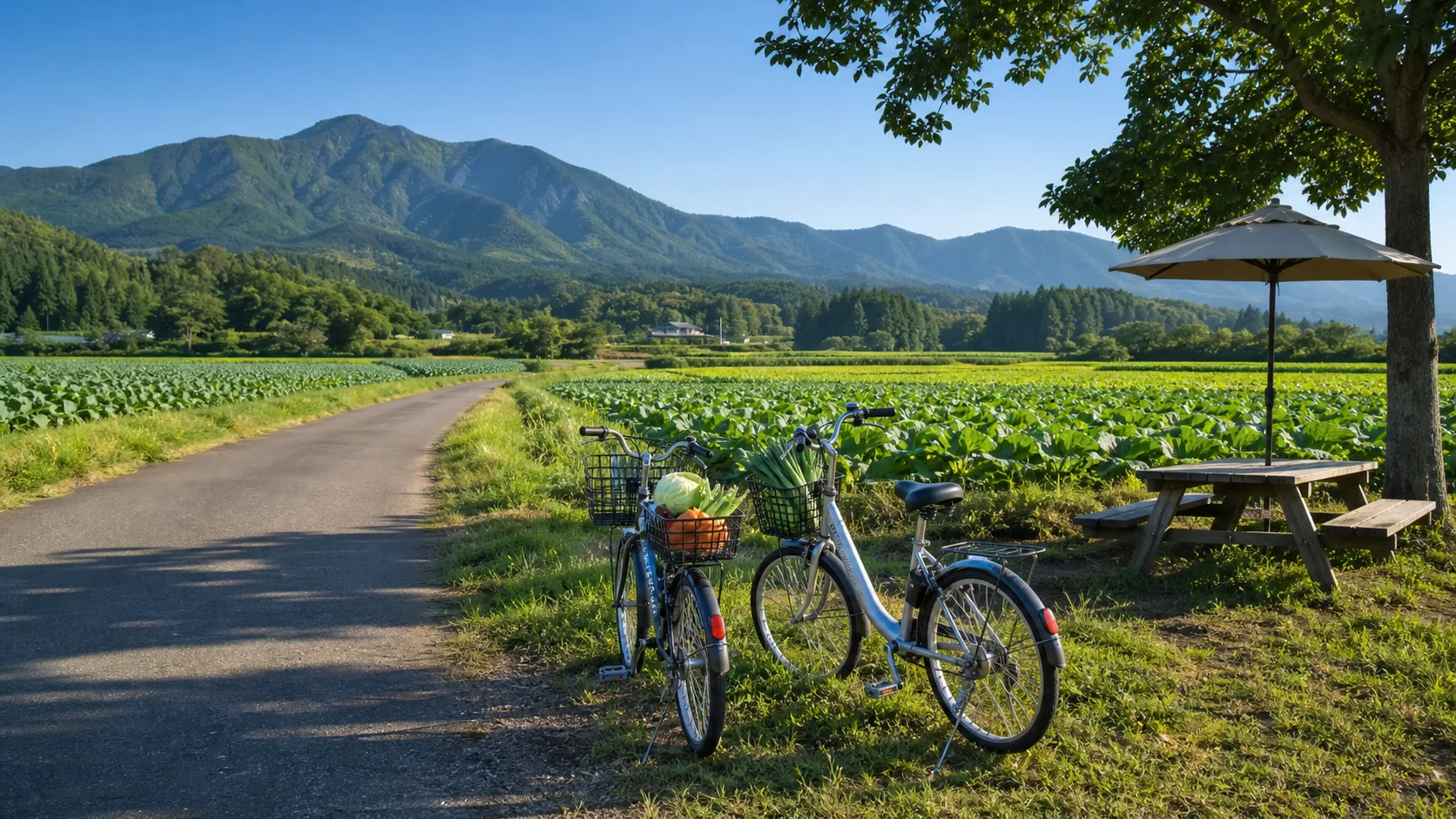 昭和村の畑とレンタサイクルをイメージした写真調画像
