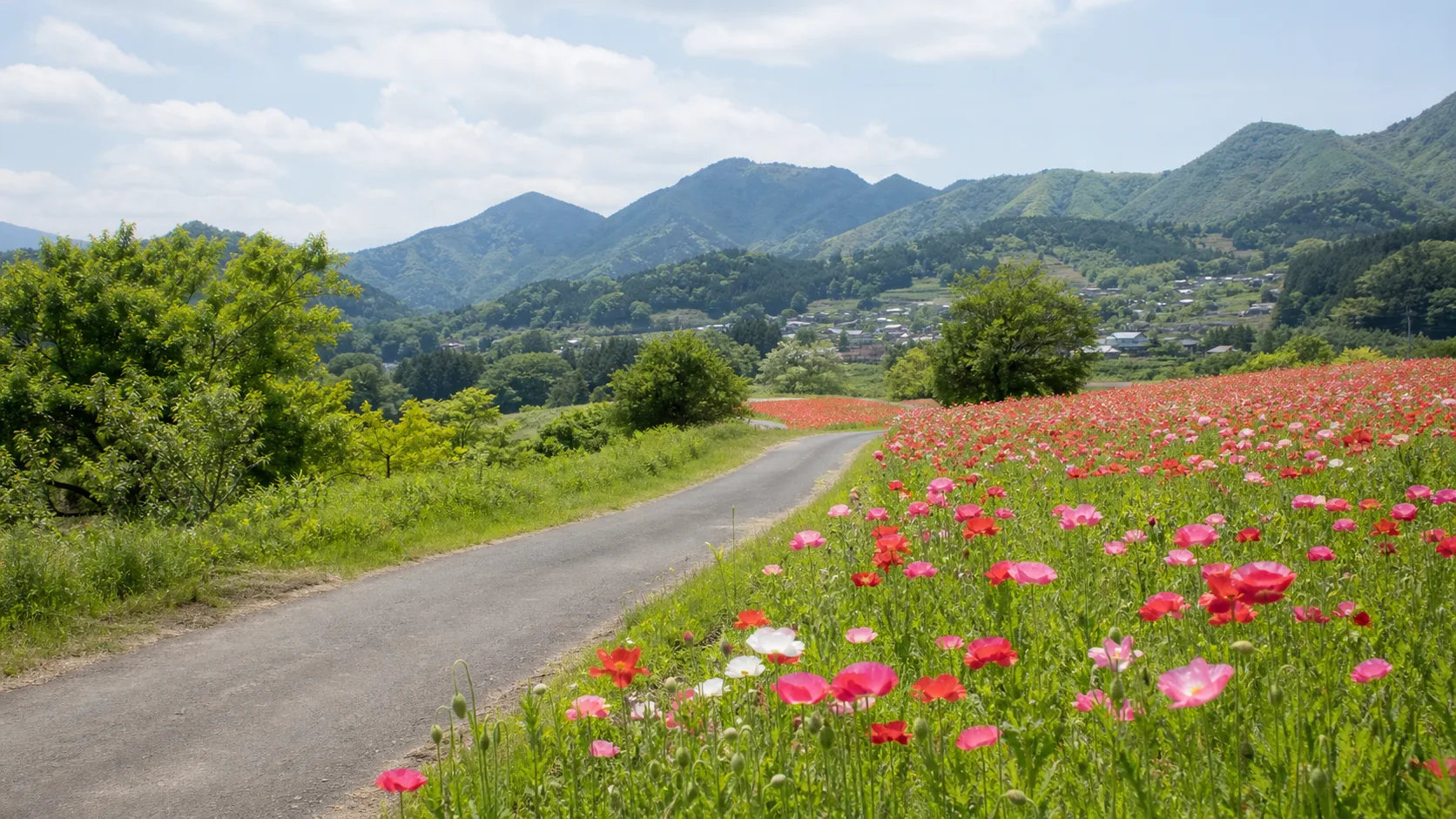 東秩父の山里と花のドライブ導線を表す写真調イメージ