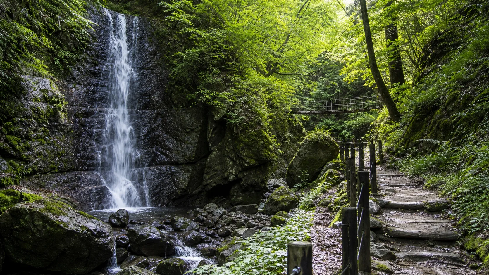 山梨市周辺の渓谷散策をイメージした写真調画像