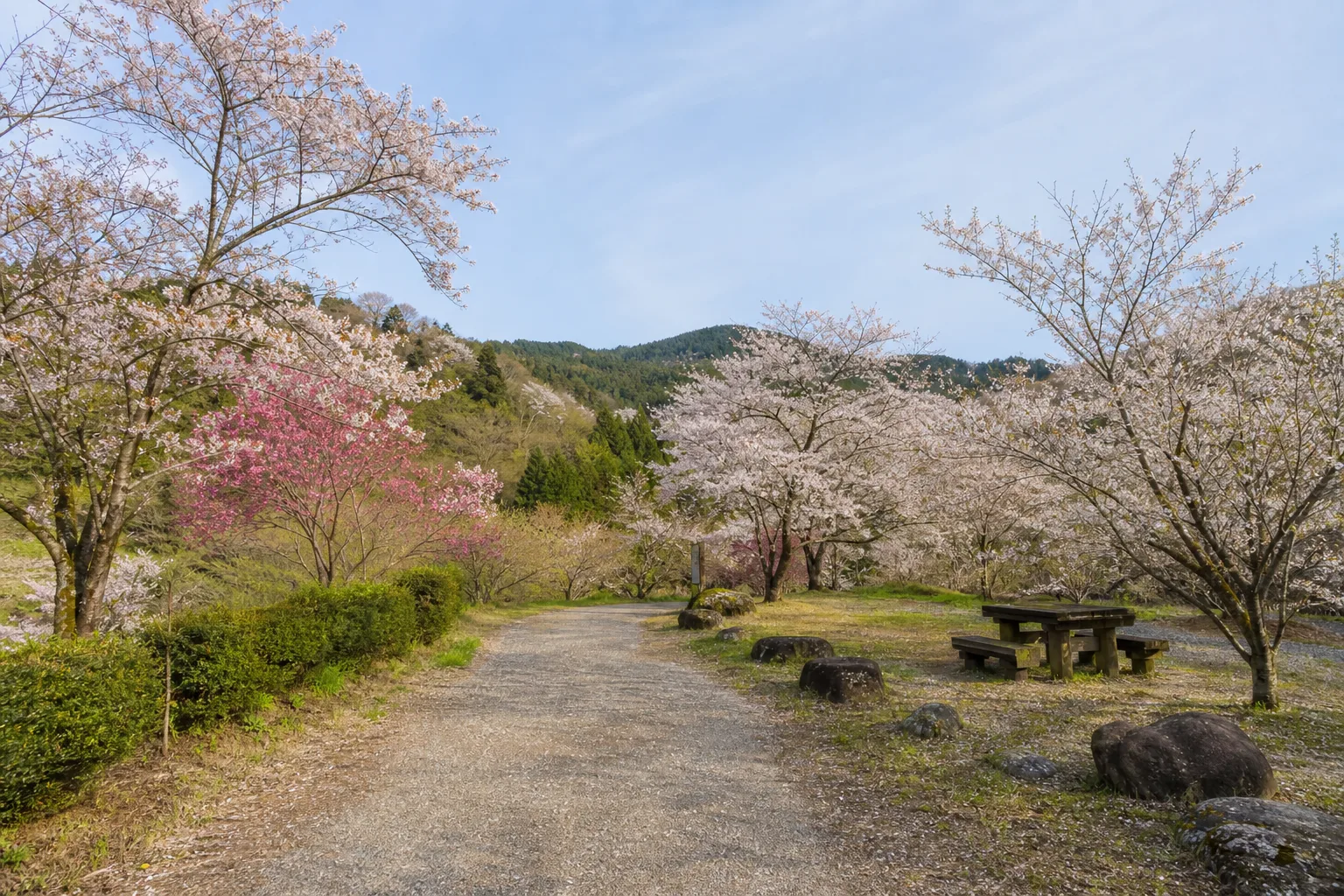 新発田城・新発田城址公園のアイキャッチ