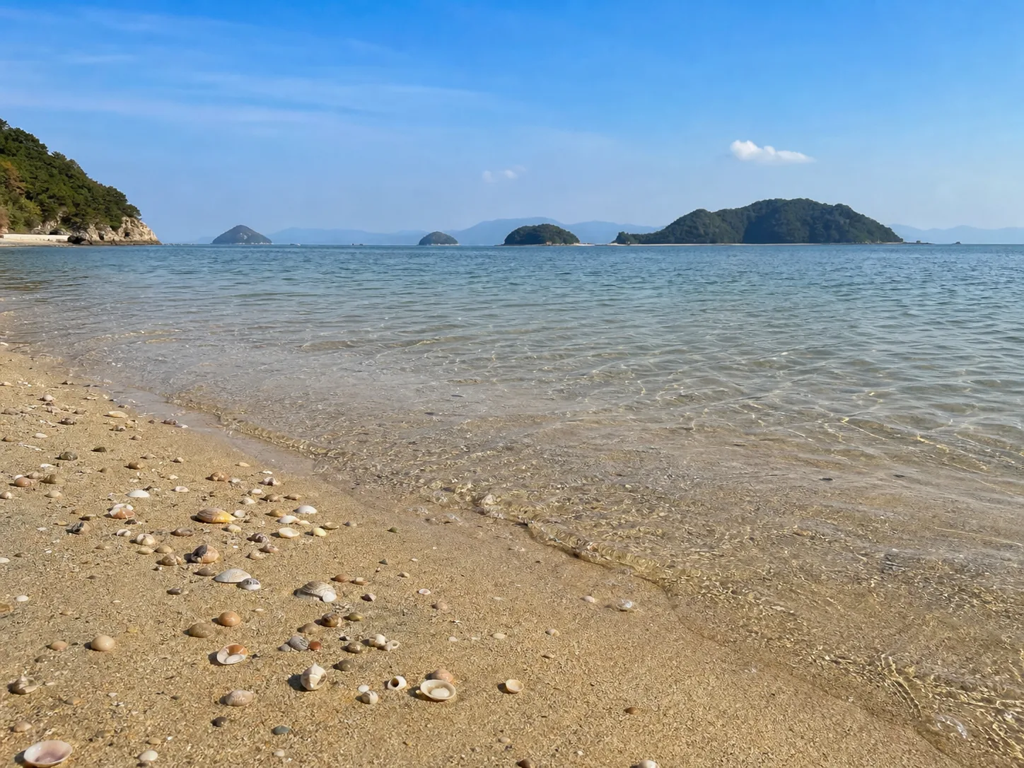播磨灘の海辺で貝殻を拾う散策を思わせる写真調イメージ