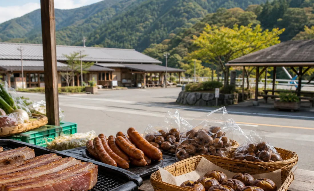 国道197号から城川のジオ施設や温泉へ向かう山あいドライブのイメージ写真