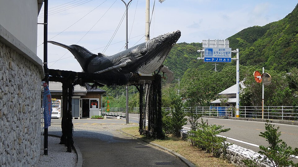 道の駅 キラメッセ室戸のアイキャッチ