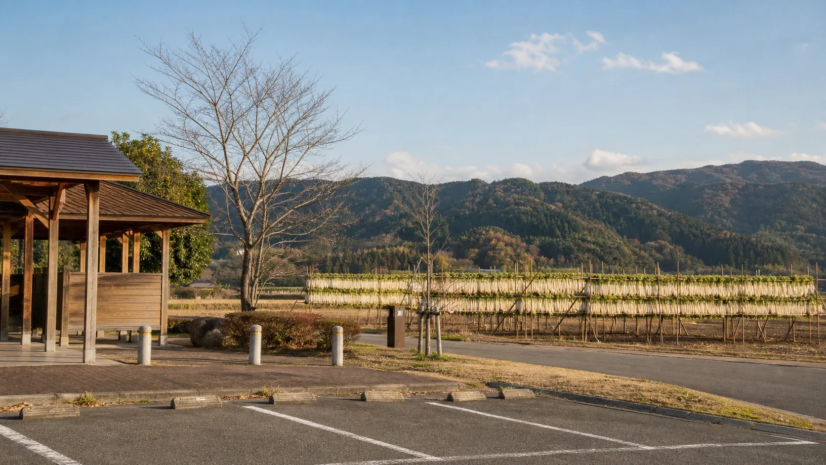 宮崎市田野運動公園のアイキャッチ