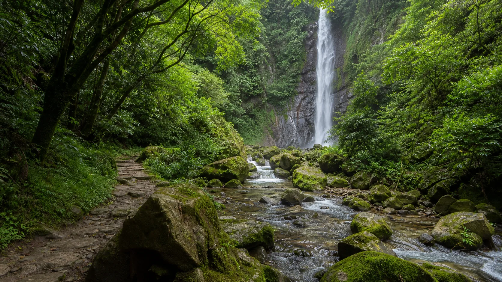 矢研の滝・尾鈴山瀑布群のアイキャッチ