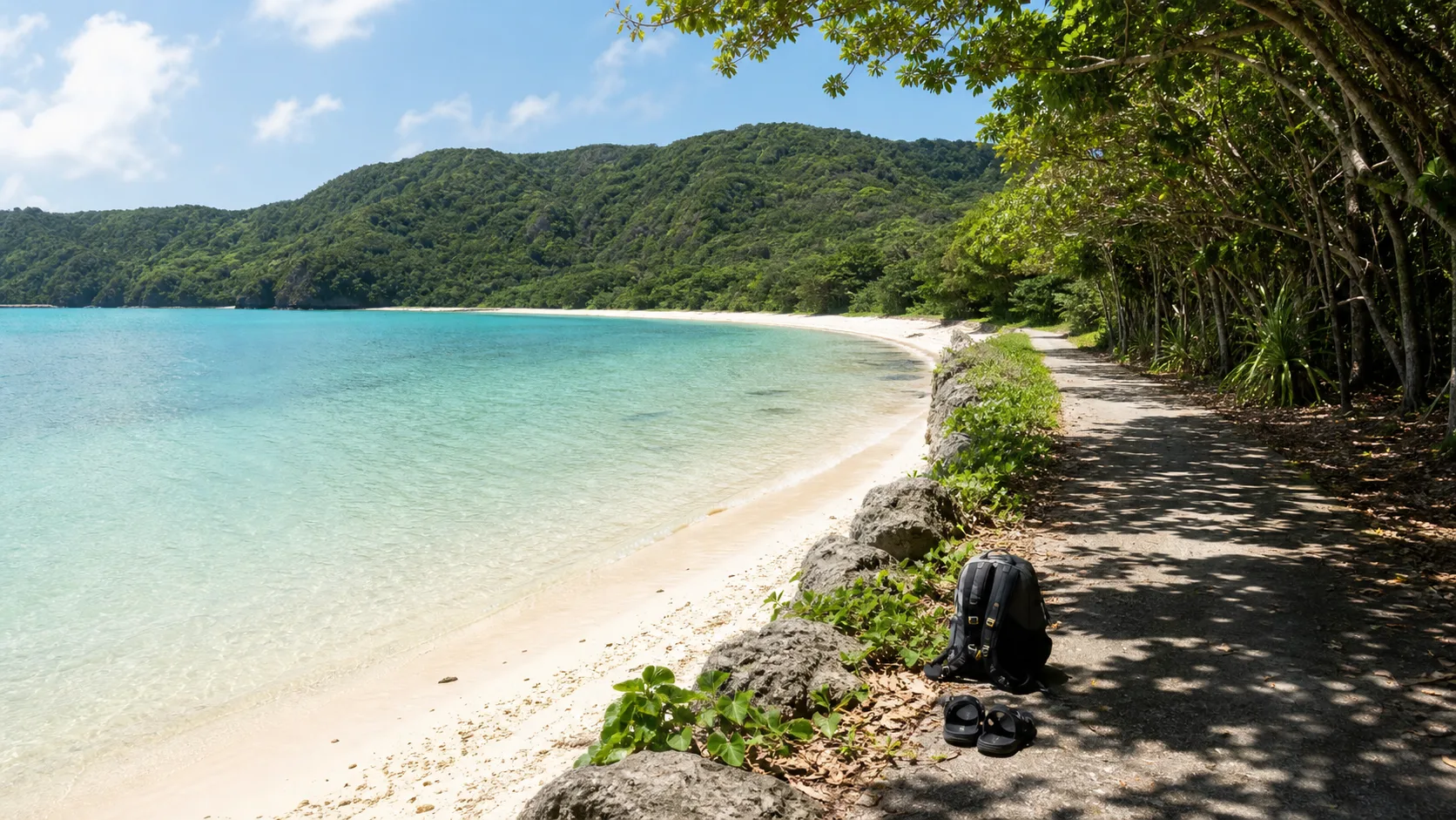 国頭の海辺と森へ寄り道する写真調イメージ